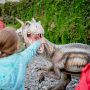 child putting her arm on a dinosaur s mouth